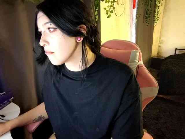 Harakassi webcam