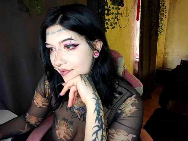 Harakassi webcam