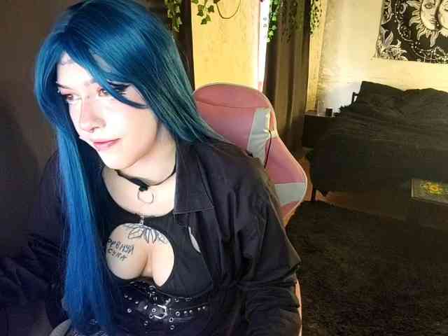 Harakassi webcam