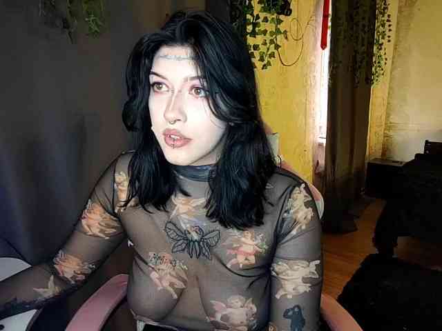 Harakassi webcam