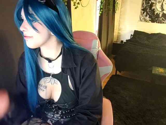 Harakassi webcam