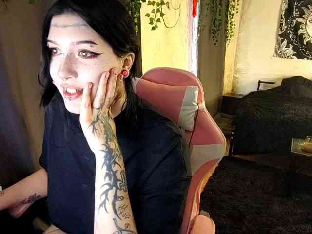 Harakassi webcam