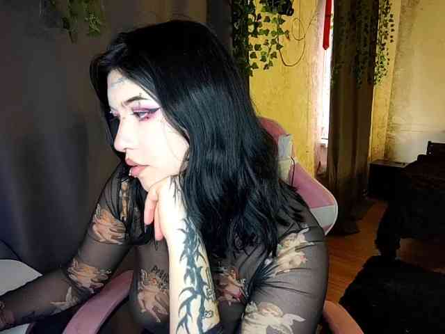 Harakassi webcam