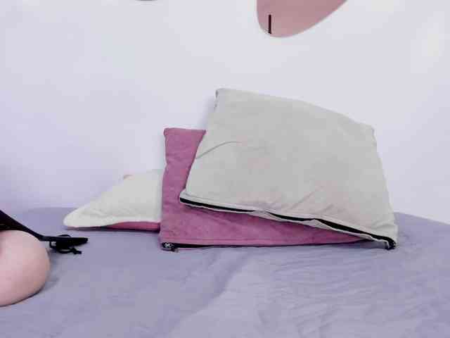 Sara-Parkeer webcam