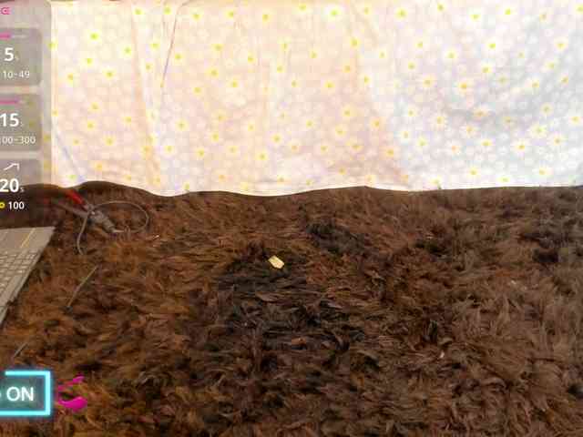 MiiaaCollinss MiiaaCollinss