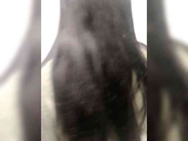 MilaMaks webcam
