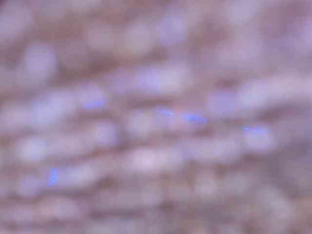CloeeSaenz webcam