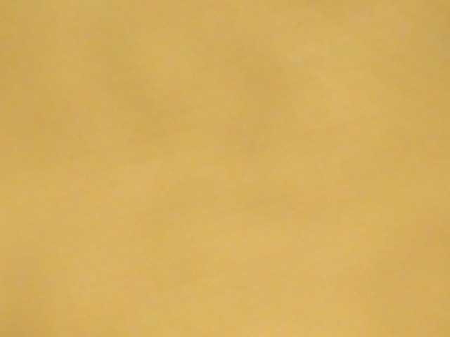 apretty's BongaCams show and profile