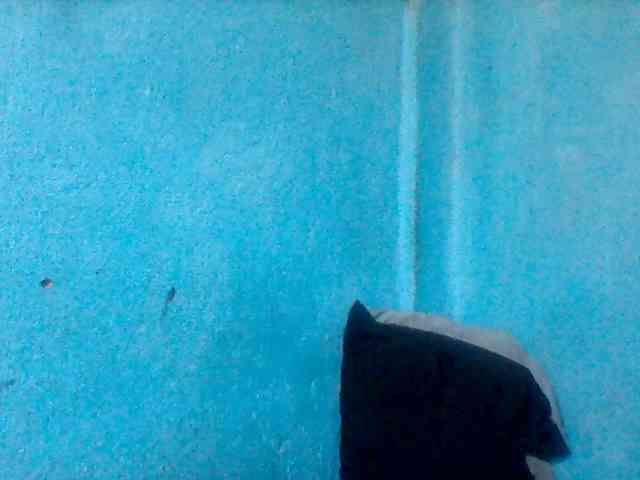 diva21 webcam
