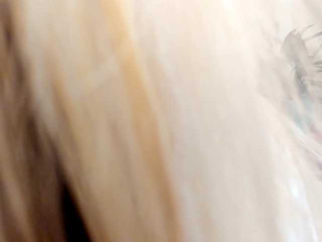 Preview of politexxx