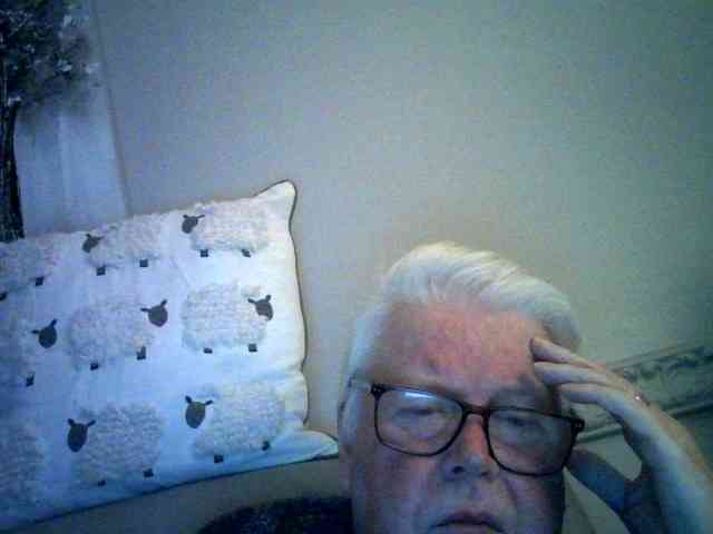 silverfox1960 silverfox1960