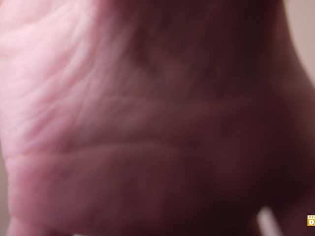 модель Swswsw-1