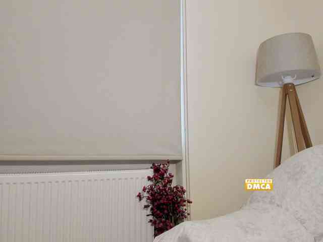 Snowiie webcam
