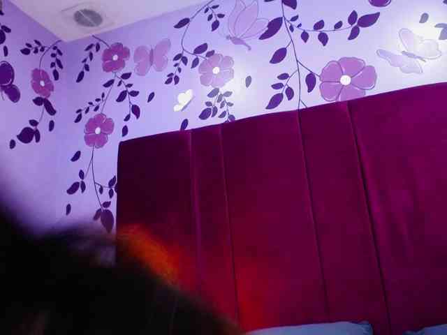 Dakottared webcam
