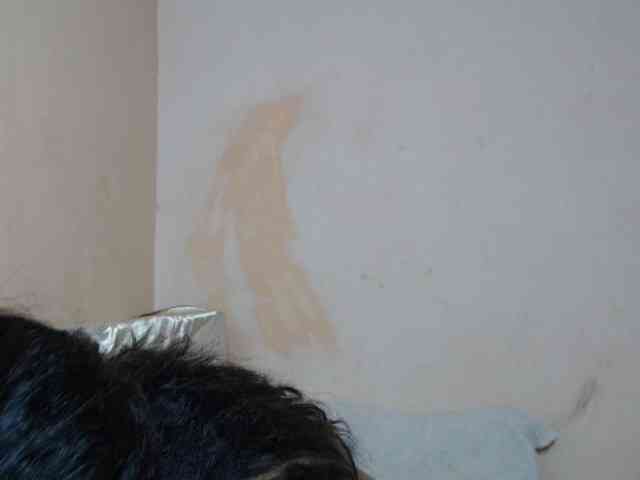 Rsylvie webcam