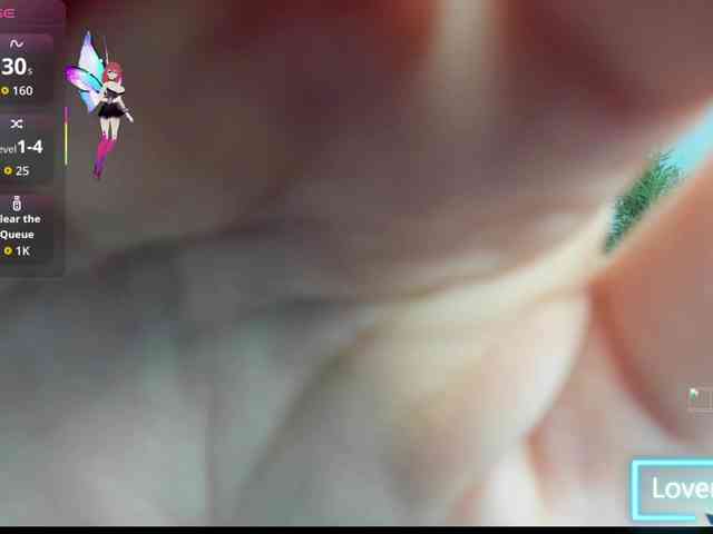 synopsiss webcam
