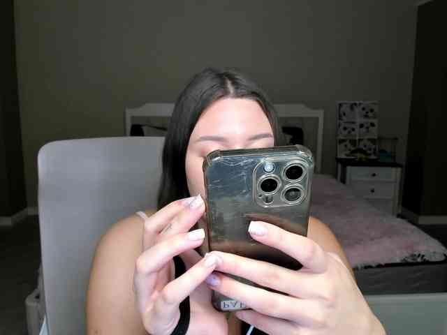 synopsiss webcam