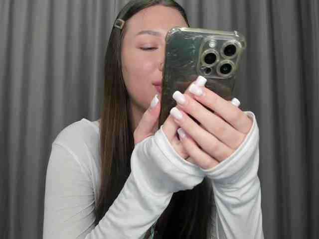 synopsiss webcam