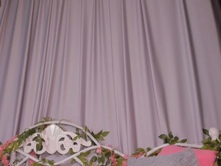 Jane-sensitive Porn Show