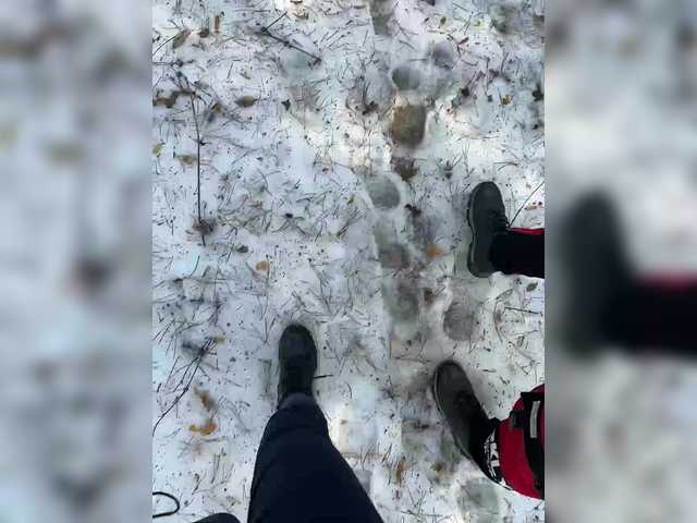 SUN-MOON's BongaCams show and profile