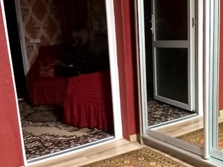 Jemma-Cori Porn Show