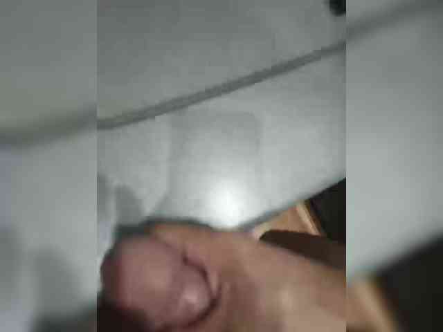 Petryxa1993a