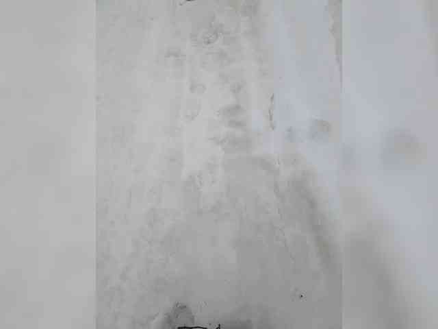 Petryxa1993a Petryxa1993a