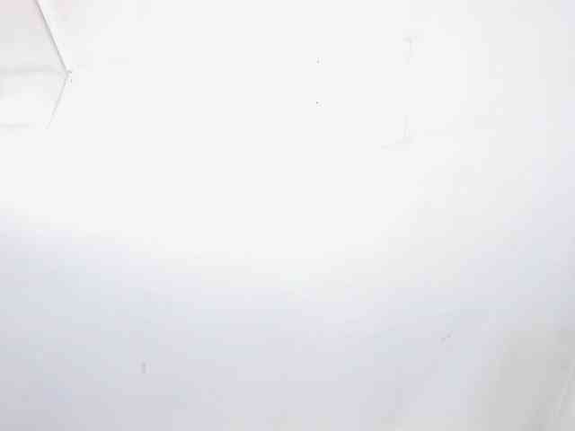 kaleb-violeta webcam