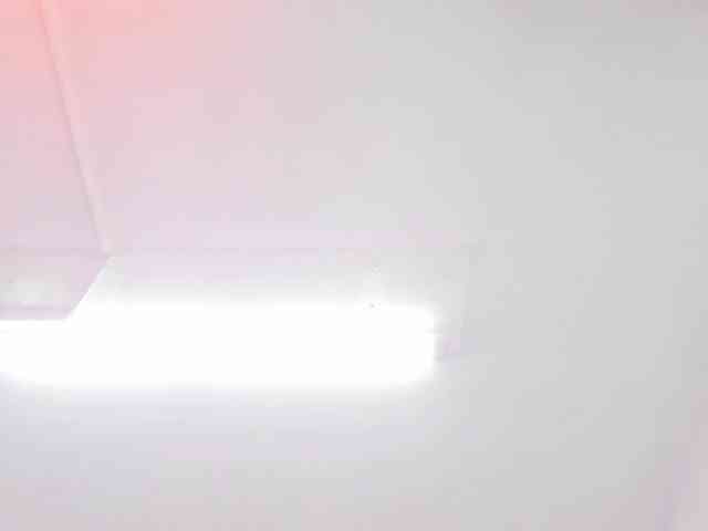 kaleb-violeta webcam