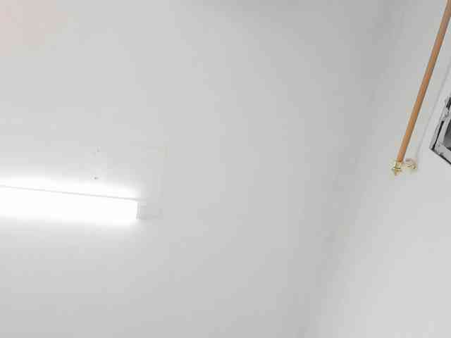 kaleb-violeta webcam