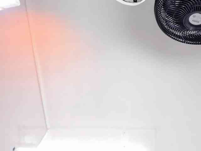 kaleb-violeta Live Webcam on BongaCams