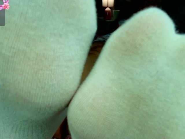 katerine-Monroe's BongaCams show and profile