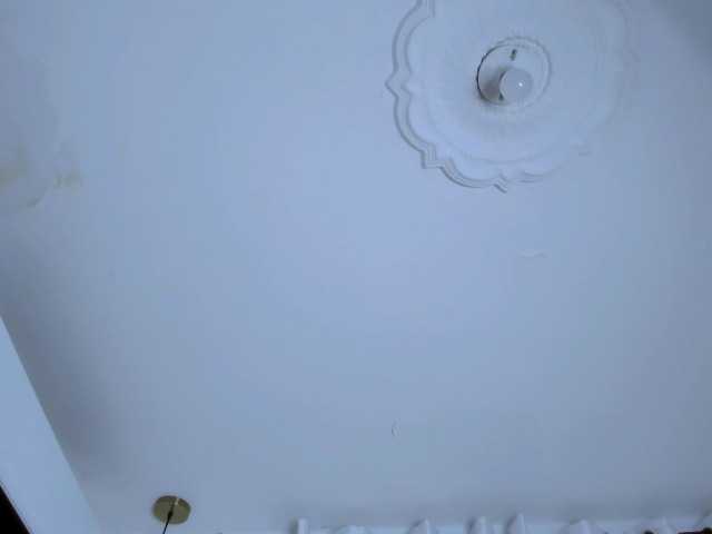 Amber Love (Amber-love69)