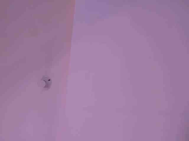 amber-love69 webcam