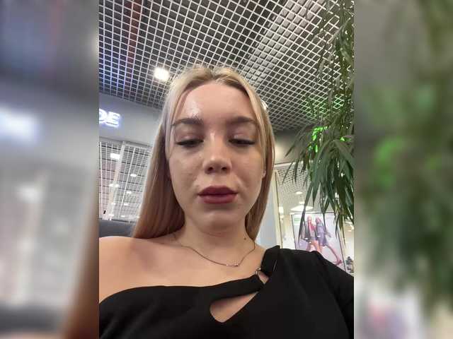 maksisy