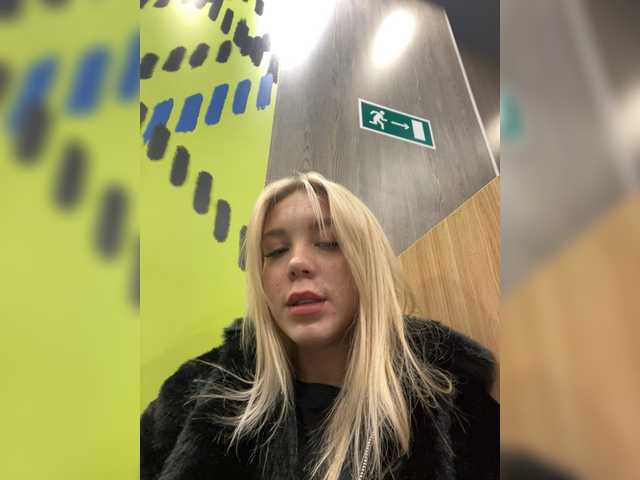 maksisy