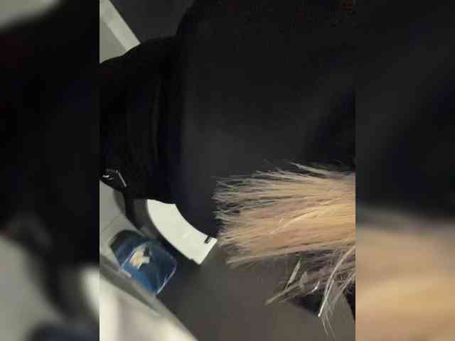 WildSugarr webcam