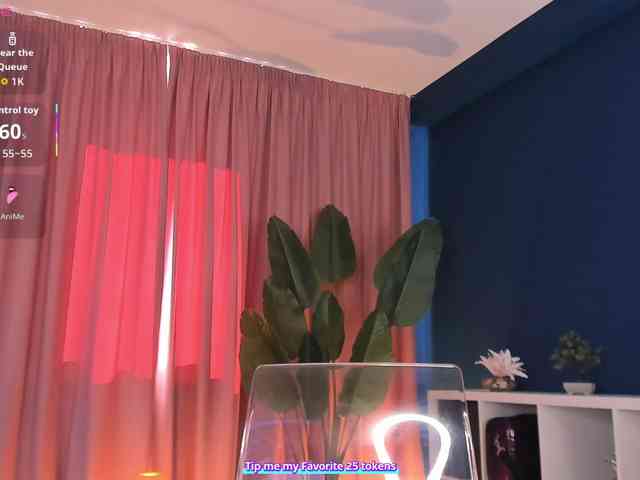 SweetyFit webcam