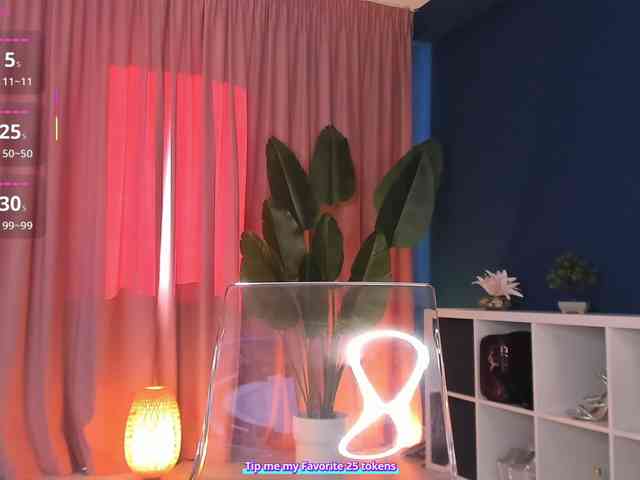 SweetyFit webcam