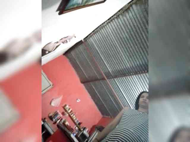 Kary221a webcam