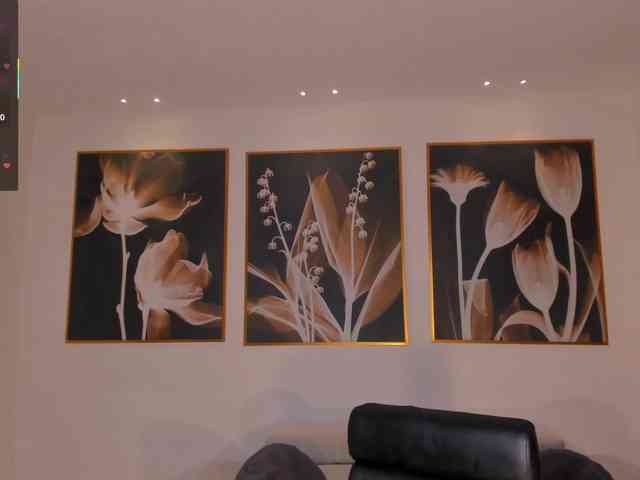 MayaMoretti Live Webcam on BongaCams