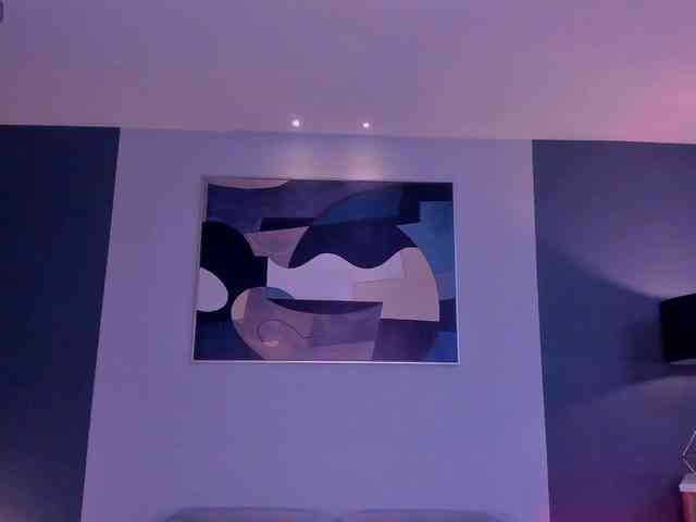 SussyBell webcam