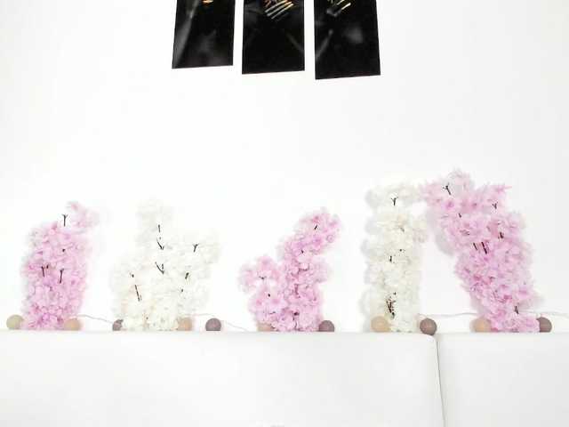 HoneyKissy's BongaCams show and profile