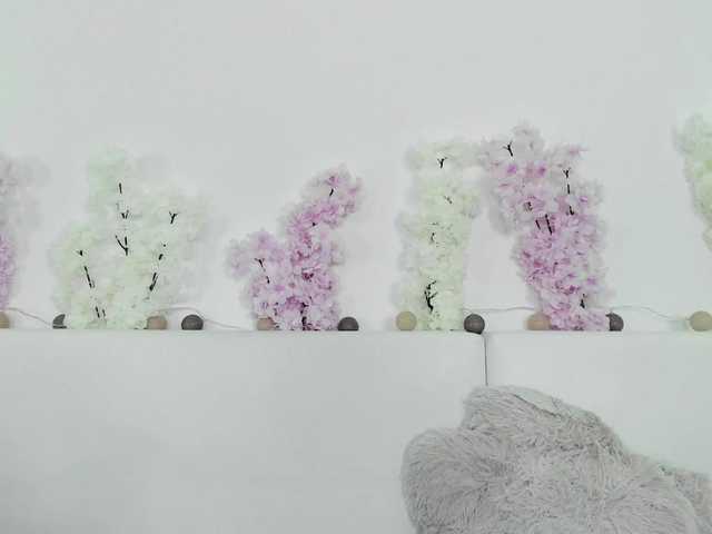 HoneyKissy's BongaCams show and profile