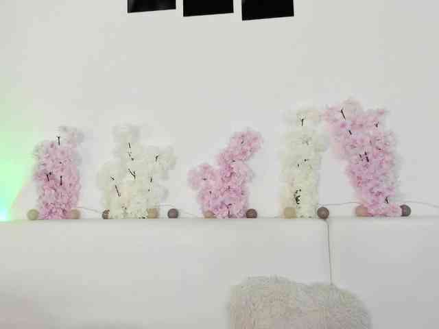 HoneyKissy HoneyKissy