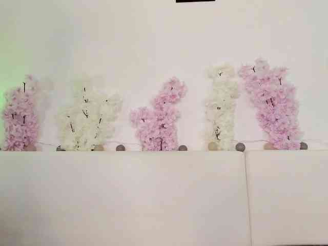 HoneyKissy HoneyKissy