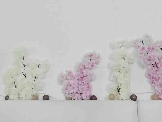 HoneyKissy HoneyKissy