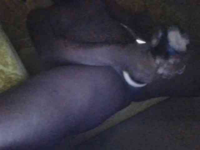 Sugabwo Live Webcam on BongaCams