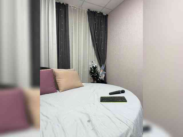 Shamelesss Shamelesss