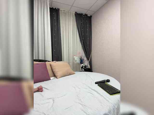 Shamelesss Shamelesss